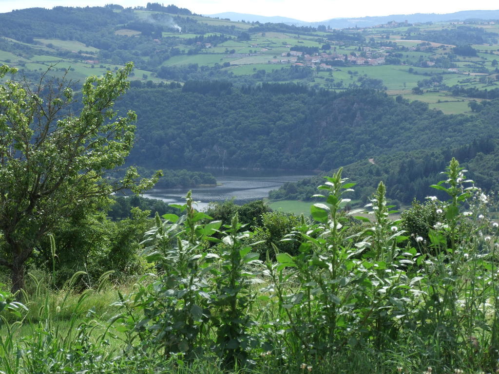לינה וארוחת בוקר Cordelle Domaine Des Grands Cedres מראה חיצוני תמונה